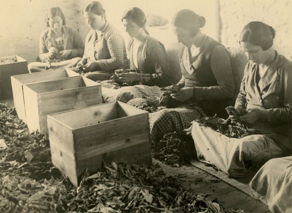 Παγκόσμια ημέρα κατά του καπνίσματος 2023: Ποια είναι η ιστορία του