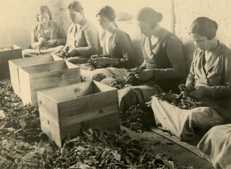 Παγκόσμια ημέρα κατά του καπνίσματος 2023: Ποια είναι η ιστορία του