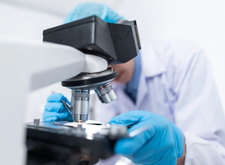 Μιλάνο: Άνδρας πέθανε από τον μύκητα Candida Auris – Είχε επιστρέψει από την Ελλάδα