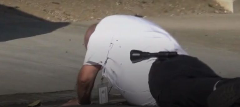 Τρόμος στο Λος Άντζελες – Μέλισσες επιτέθηκαν σε αστυνομικό και κατέρρευσε από τα τσιμπήματα