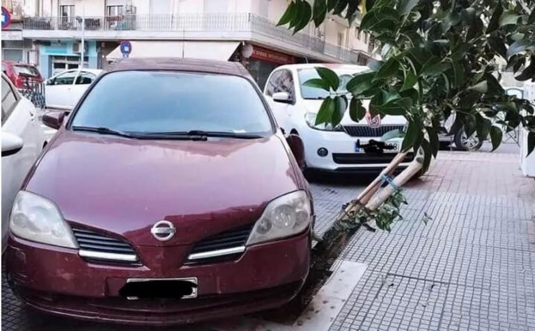 Δήμος Θεσσαλονίκης: Μήνυση κατά οδηγού που πάρκαρε το αυτοκίνητό του πάνω σε κορμό δέντρου