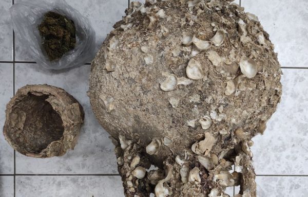 Συνελήφθη αρχαιοκάπηλος στη Χαλκιδική: Αμφορέας και τμήμα αμφορέα βρέθηκαν στο σπίτι του