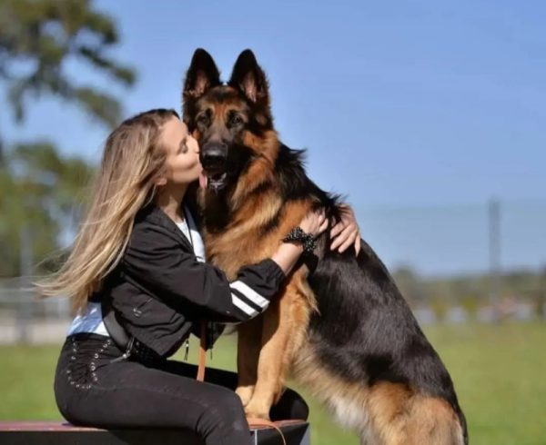 Αεροπορική εταιρεία στη Βρετανία προσαρμόζει τις υπηρεσίες της για να καλύπτει ταξίδια μαζί με τα κατοικίδια σας