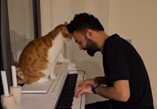 Γάτες και μουσική: Φέβζι, ο πιο φιλόμουσος γάτος στον κόσμο – Θα «λιώσετε» μαζί του