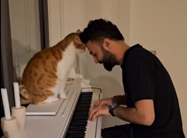 Γάτες και μουσική: Φέβζι, ο πιο φιλόμουσος γάτος στον κόσμο – Θα «λιώσετε» μαζί του