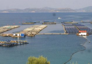 Δημιουργείται Κέντρο Συλλογής Απορριμμάτων Ιχθυοκαλλιέργειας στη Θεσπρωτία