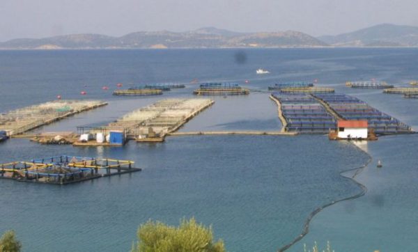 Δημιουργείται Κέντρο Συλλογής Απορριμμάτων Ιχθυοκαλλιέργειας στη Θεσπρωτία