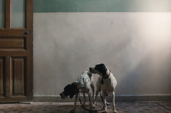 Η πρώτη ατομική έκθεση της Janis Rafa στον νέο χώρο τέχνης στον Πειραιά