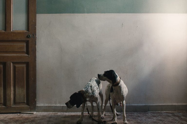 Η πρώτη ατομική έκθεση της Janis Rafa στον νέο χώρο τέχνης στον Πειραιά