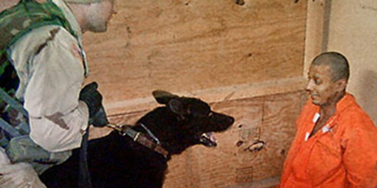 Η βία δεν εμφανίζεται τυχαία αλλά διαδίδεται με την μύηση και την προπαγάνδα