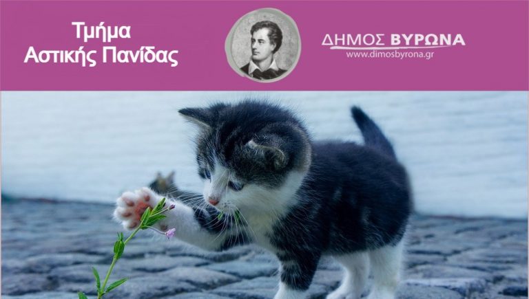 Ο Δήμος Βύρωνα θα παρασταθεί ως πολιτική αγωγή εναντίον του προσώπου που θανάτωνε γάτες με το σκύλο του