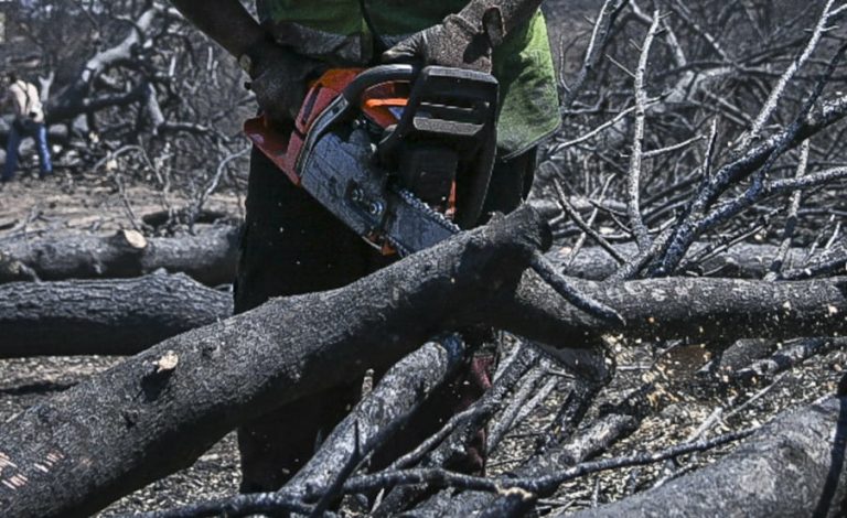 Θεσσαλονίκη: Προφυλακιστέος 60χρονος για τον θάνατο 51χρονου – Είχε βρεθεί θανάσιμα τραυματισμένος με αλυσοπρίονο