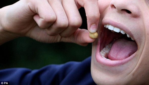 Ξηροί καρποί: Μια χούφτα μειώνει κατά 22% τον κίνδυνο από θανατηφόρες παθήσεις