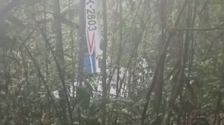 Κολομβία: 4 παιδιά γλίτωσαν σε συντριβή αεροσκάφους και επέζησαν για 15 μέρες στη ζούγκλα