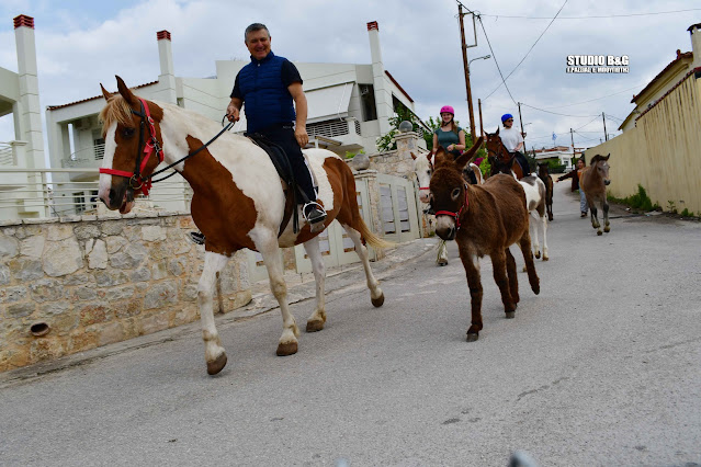 Εκλογές 2023 - Ναύπλιο: Αγρότης πήγε να ψηφίσει με άλογα και γαϊδούρια