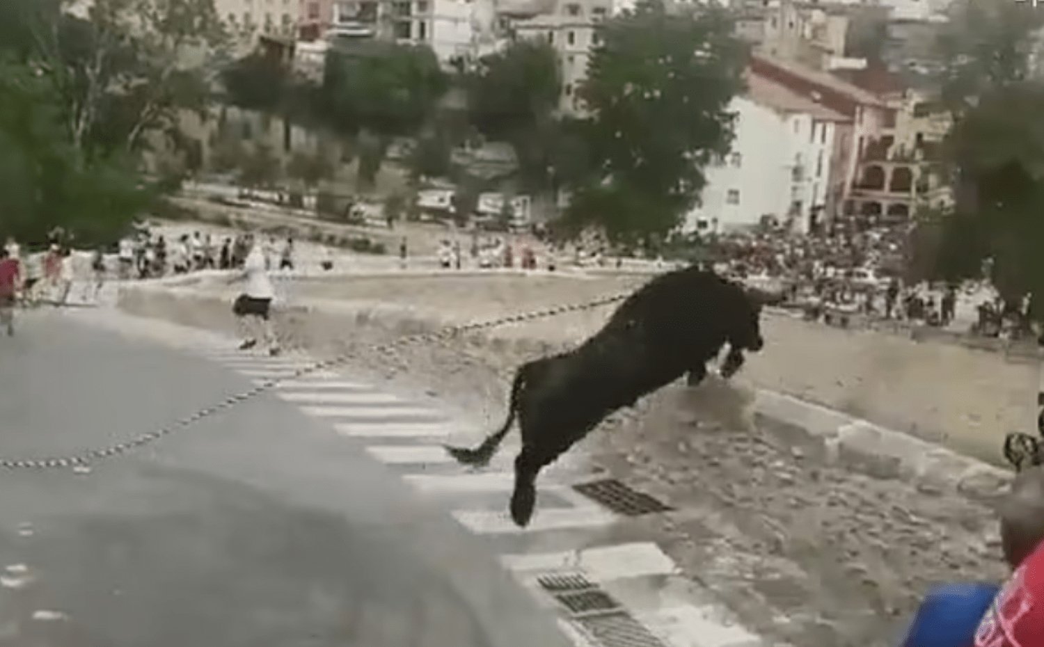 Βίντεο σοκ με ταύρο: Έπεσε από ύψος 15 μέτρων και το πλήθος άρχισε να ουρλίαζει