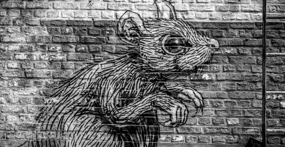 Ιστορίες φρίκης για αρουραίους μέσα από τις διηγήσεις των κατοίκων της Νέας Υόρκης