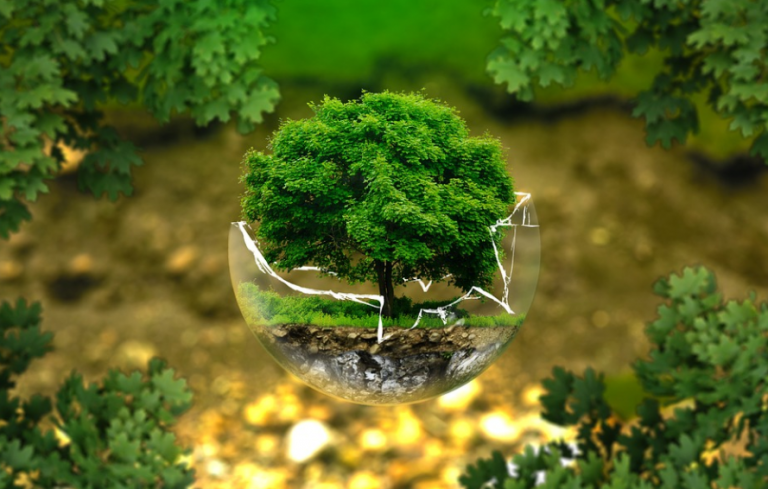 Το Περιβάλλον στο επίκεντρο της Βιώσιμης Ανάπτυξη