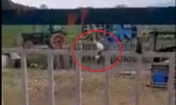 Θεσσαλονίκη: 87χρονος χτυπάει με μανία τον σκύλο του – Κατατέθηκε μήνυση εις βάρος του