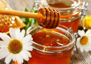 Greek honey: Deluge of adulteration and ‘Hellenization”