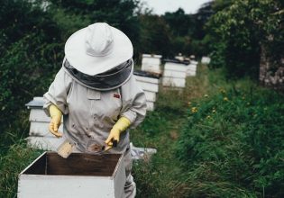 Μελισσοκόμοι: Οικονομική στήριξη της νομαδικής μελισσοκομίας