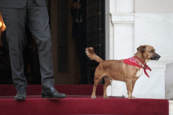 Εκλογές 2023: Ο Πίνατ μετακομίζει στα γραφεία της ΝΔ