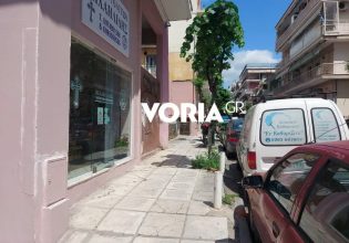 Πώς έγινε ο φονικός καυγάς στη Θεσσαλονίκη – «Τον χτυπούσαν με μπουνιές και κλωτσιές επειδή τάιζε τα γατάκια»