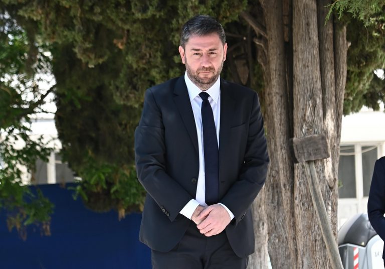 Τίμησε τη Φώφη Γεννηματά ο Νίκος Ανδρουλάκης [Εικόνα]