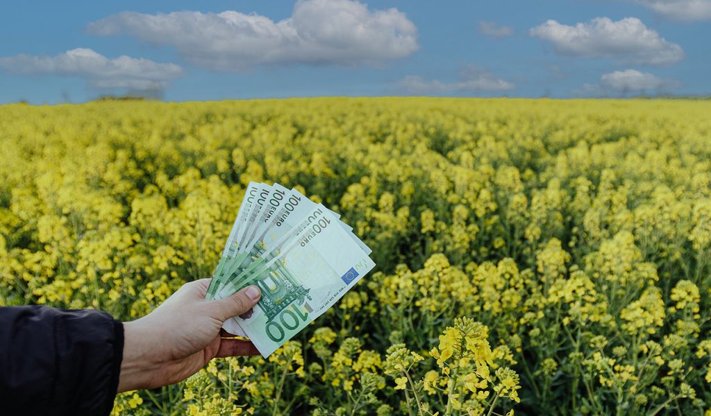 ΟΠΕΚΕΠΕ: Αγροτικές πληρωμές 70,96 εκατ. ευρώ σε 73.992 δικαιούχους