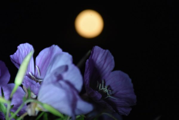 Ζώδια: Ποια αστρολογικά φαινόμενα συμπίπτουν και ποιους επηρεάζουν