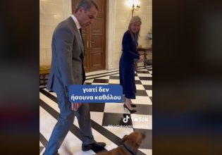 Το… δανεικό σακάκι και το «κομματόσκυλο» ο Πίνατ – Νέο βίντεο του Κυριάκου Μητσοτάκη στο TikTok