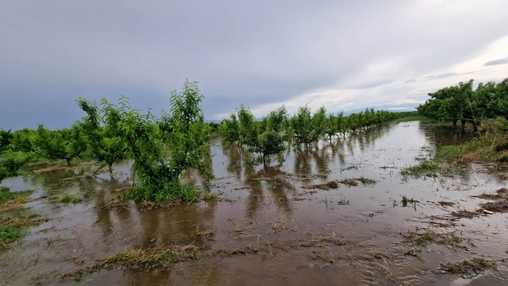 Πέλλα: Καταστράφηκαν 15.000 στρέμματα με φρούτα πριν τη συγκομιδή