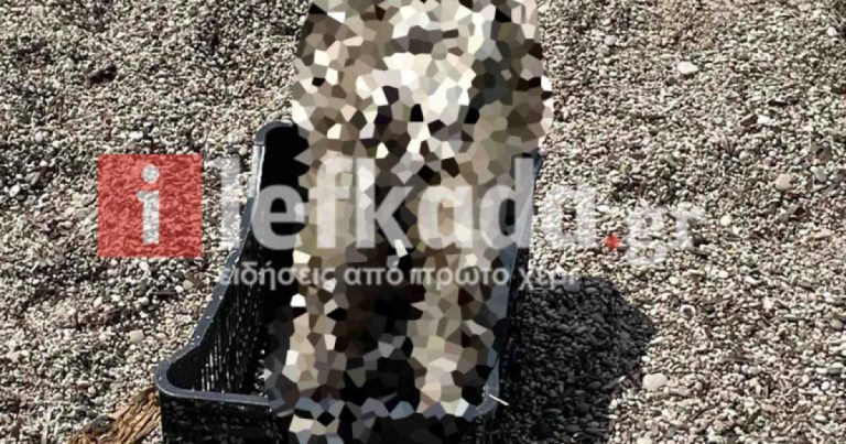 Κομμένο ανθρώπινο σώμα βρήκαν παιδιά σε παραλία της Λευκάδας