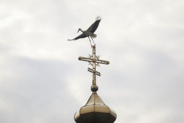 Ουκρανία: Πιθανόν οι νέες βροχοπτώσεις να καθυστερούν την αντεπίθεση, λέει ρώσος αξιωματούχος