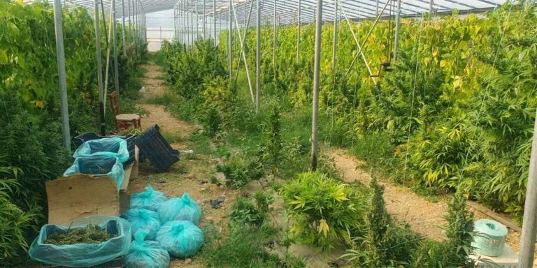 Κρήτη: Με υπερπολυτελή βίλα, πισίνα και θέα στο Λιβυκό οι χασισοκαλλιεργητές της Μεσαράς