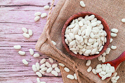 Κίνημα διάσωσης των παραδοσιακών σπόρων