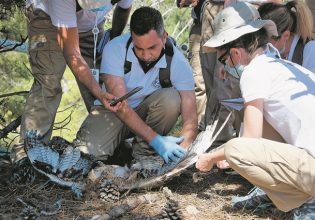 Ελληνικό CSI για την εξιχνίαση εγκλημάτων κατά της άγριας ζωής