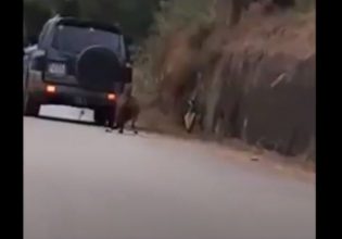 Κακοποίηση ζώου στη Ζάκυνθο – Έσερνε κατσίκα με το αυτοκίνητό του
