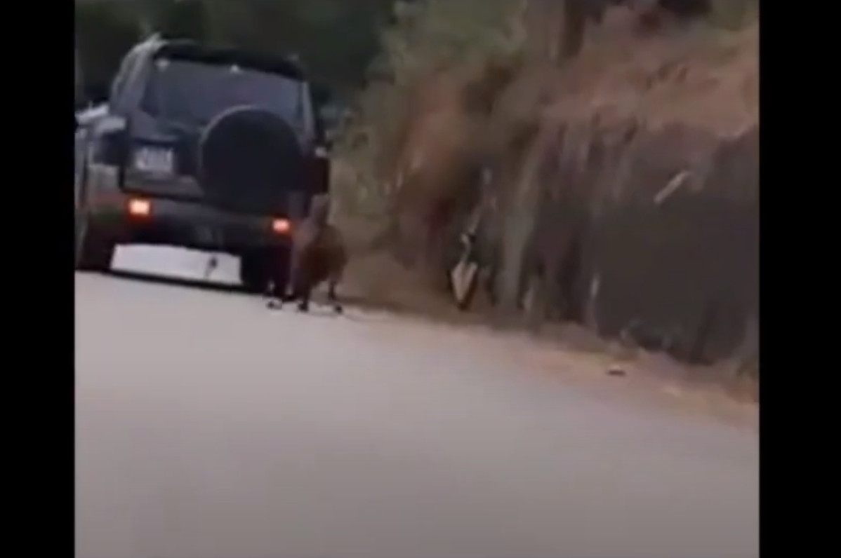 Κακοποίηση ζώου στη Ζάκυνθο - Έσερνε κατσίκα με το αυτοκίνητό του