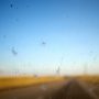 «Φαινόμενο του παρμπρίζ»: Τα έντομα που σκοτώνουμε ενώ οδηγούμε δεν είναι ασήμαντα