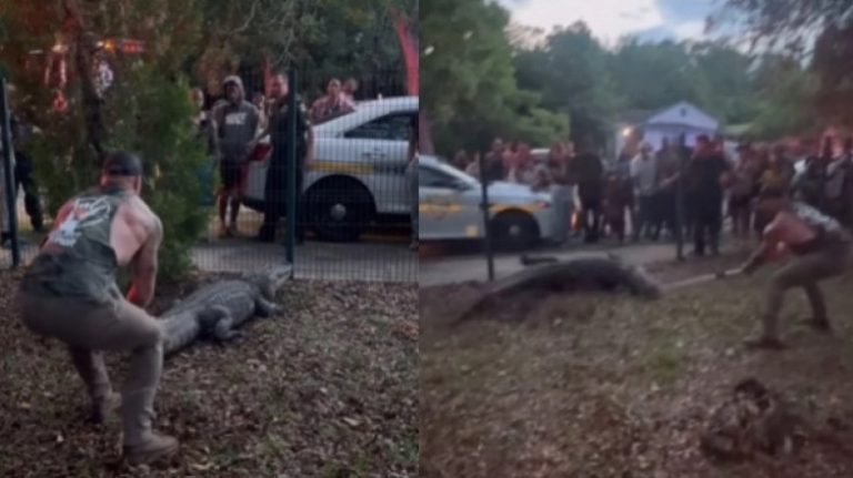 Viral η πάλη αθλητή MMA με αλιγάτορα στη Φλόριντα – Δείτε βίντεο