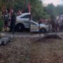 Viral η πάλη αθλητή MMA με αλιγάτορα στη Φλόριντα – Δείτε βίντεο