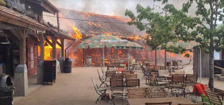 Δέκα τραυματίες από πυρκαγιά σε αγρόκτημα φράουλας στη Γερμανία