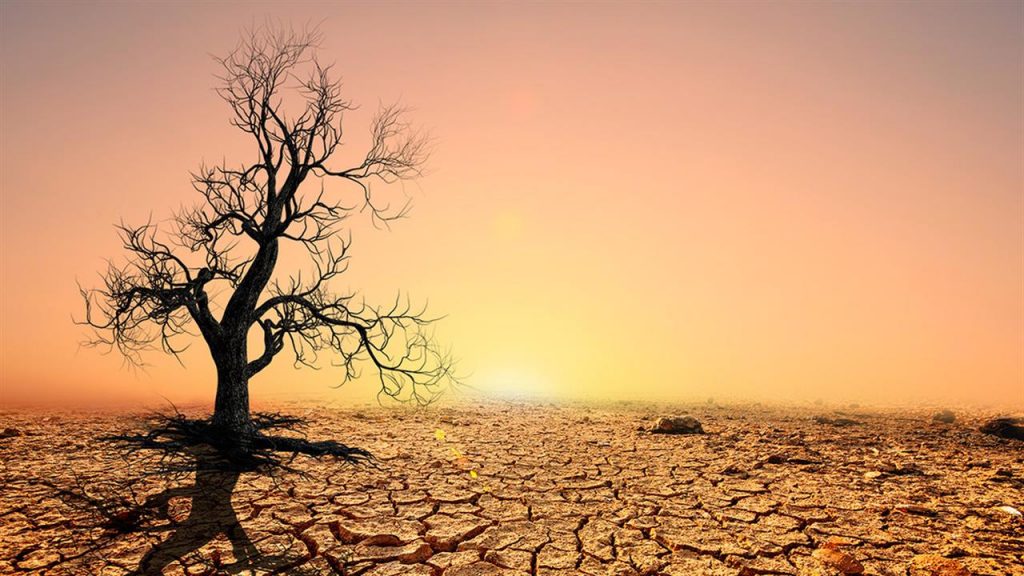 Σήμα κινδύνου για περιόδους ξηρασίας και θερμοκρασίες – ρεκόρ