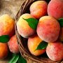 Εξαγωγές: Λιγοστά αλλά ποιοτικά τα καλοκαιρινά φρούτα