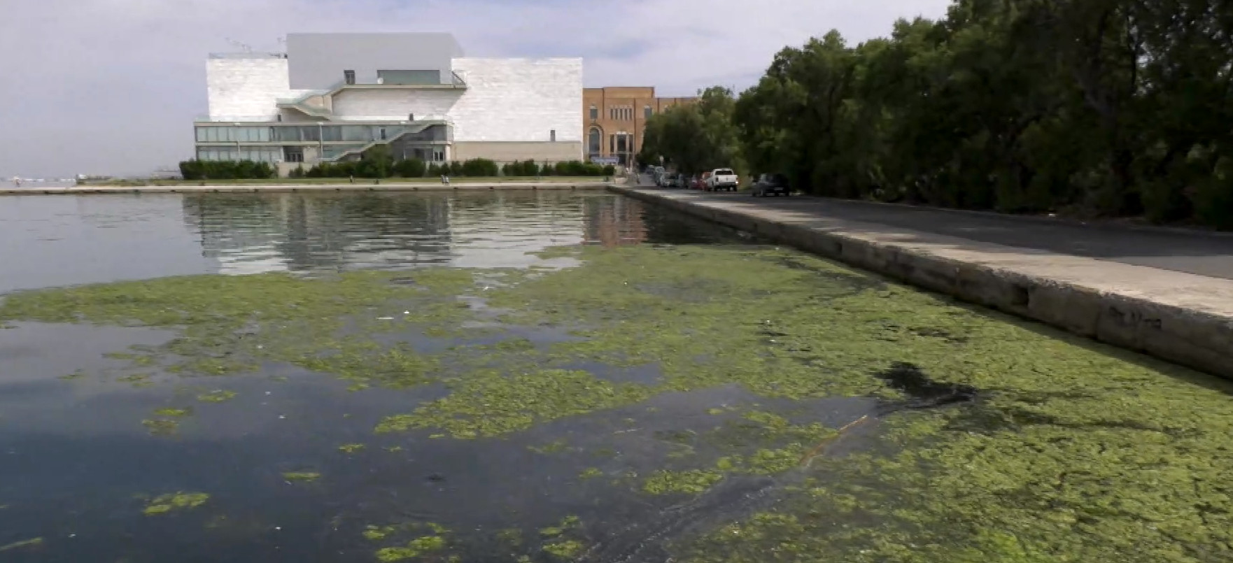 Θεσσαλονίκη: Γιατί έγινε πράσινος ο Θερμαϊκός Κόλπος; - Τι λένε οι επιστήμονες