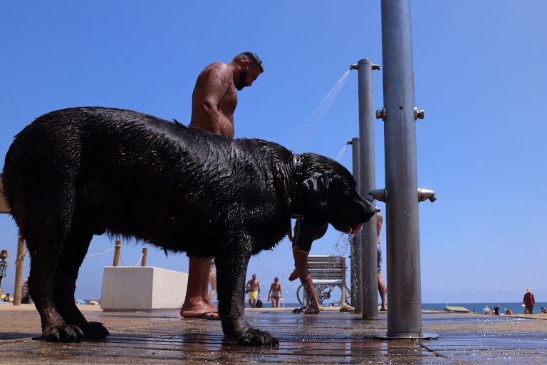 Ισπανία: Πρώτο κύμα καύσωνα – «Έλιωσαν» Σεβίλλη και Κόρδοβα