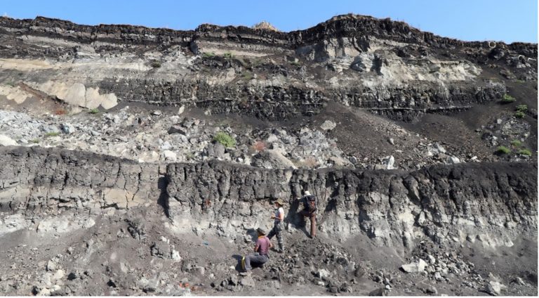 Μεγαλόπολη: Απολιθώματα ελεφάντων και ρινόκερων ανακαλύφθηκαν στο λιγνιτωρυχείο