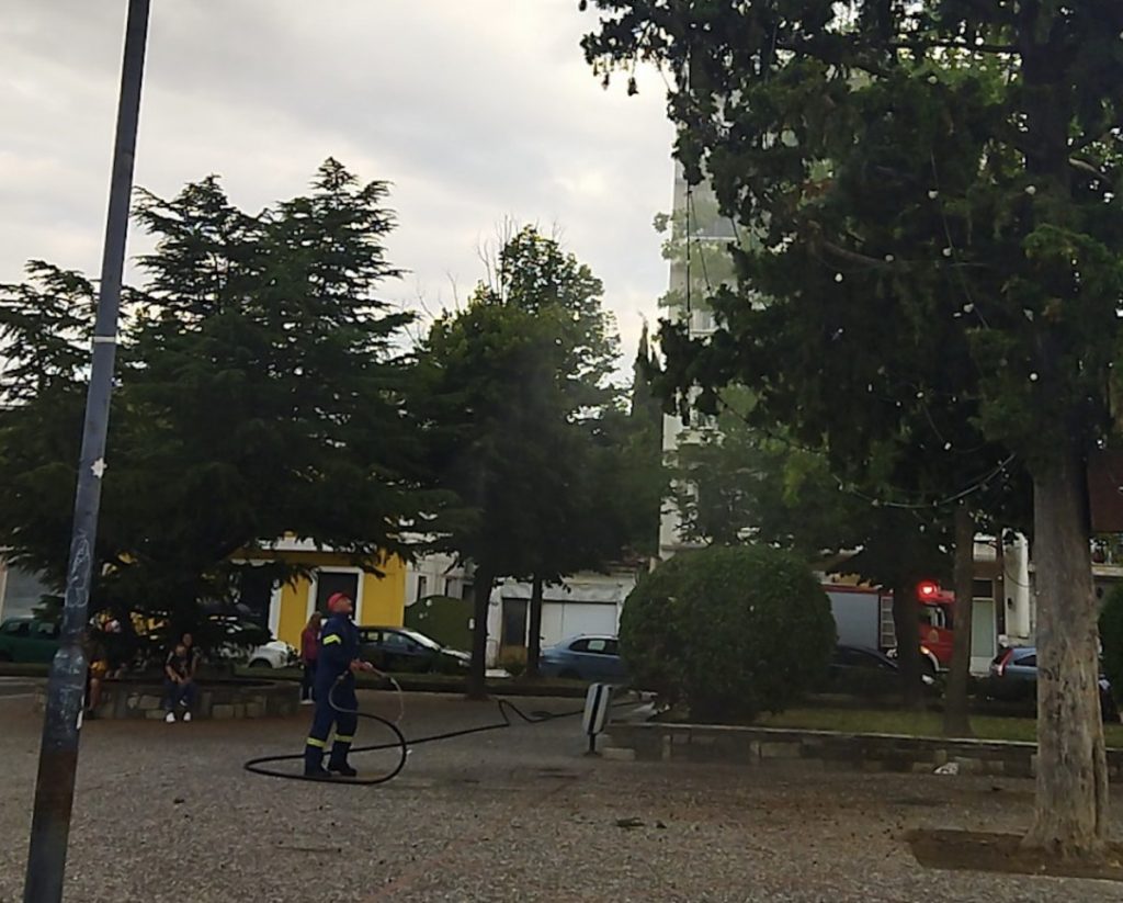 Κάλεσαν την πυροσβεστική για να κατεβάσει… μπάλα από  δέντρο στη Λάρισα – Δείτε βίντεο