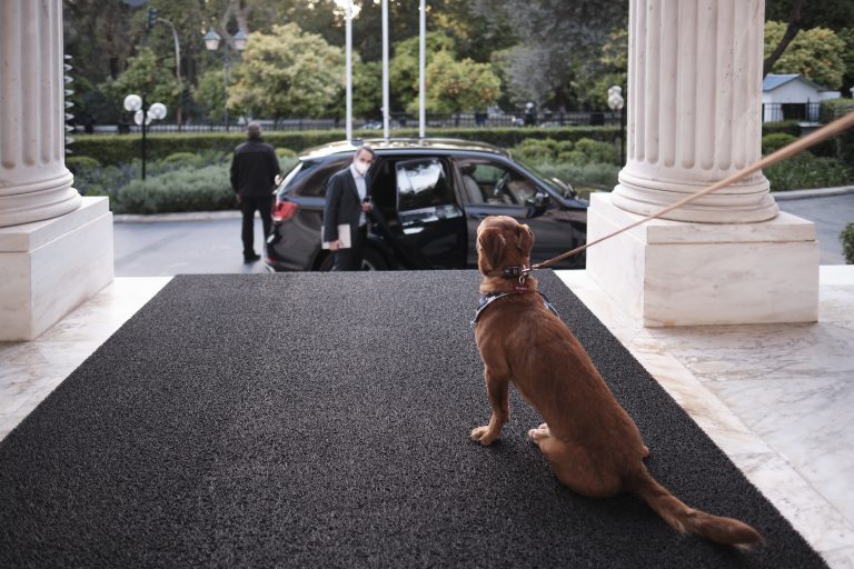 Κυριάκος Μητσοτάκης: Το μήνυμα στο TikTok που ενέκρινε ο… Πίνατ